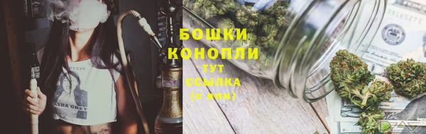 гидропоника Аркадак
