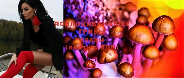 гидропоника Аркадак