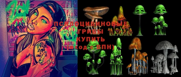 ГАЛЛЮЦИНОГЕННЫЕ ГРИБЫ Алзамай