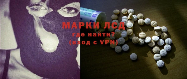 a pvp Новозыбков