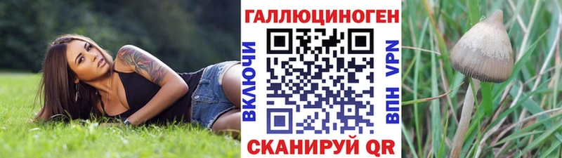 Псилоцибиновые грибы мухоморы  kraken ONION  Мытищи 