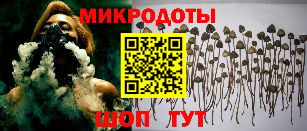Мытищи  Галлюциногенные грибы Magic Shrooms  Вход с VPN 